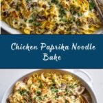 Chicken Paprika Egg Noodle Casserole Recipe