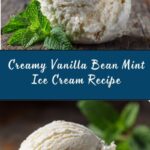 Vanilla Bean and Fresh Mint Ice Cream Recipe