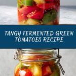 Fermented Green Tomatoes Recipe