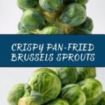 Pan-fried Brussels Sprouts Recipe
