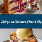 Late Summer Plum Cake Recipe
