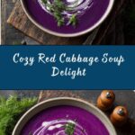 Red Cabbage Soup Recipe