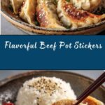 Beef Pot Stickers Recipe