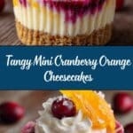 Mini Cranberry Orange Cheesecakes Recipe