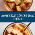 Ginger Bug Recipe
