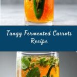 Fermented Carrots Recipe