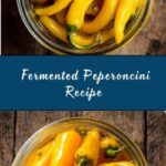 Brine-Pickled (Fermented) Peperoncini Recipe