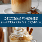Homemade Pumpkin Coffee Creamer Recipe