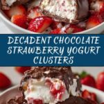 Chocolate Strawberry Yogurt Clusters Recipe