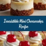 Mini Cheesecakes Recipe