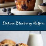 Einkorn Blueberry Muffins Recipe