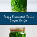 Fermented Garlic Scapes Recipe
