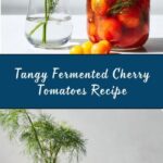 Fermented Cherry Tomatoes Recipe