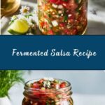 Fermented Salsa Recipe