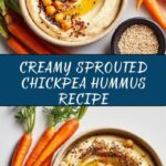 Sprouted Hummus Recipe