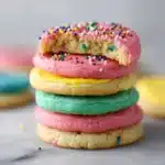Easter Sugar Cookies Recipe