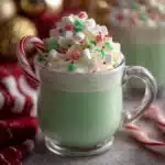 Grinch Hot Chocolate Recipe