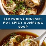 Instant Pot Spicy Dumpling Soup Recipe