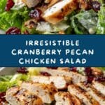 Cranberry Pecan Chicken Salad Recipe
