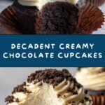 Creamy Chocolate Cupcakes Recipe