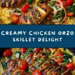 One-Pot Chicken Orzo Skillet Recipe