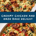 Creamy Chicken and Orzo Bake Recipe