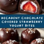 Chocolate Covered Strawberry Frozen Yogurt Bites Recipe