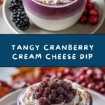 Cranberry Cream Cheese Dip Recipe