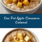 One Pot Apple Cinnamon Oatmeal Recipe