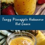 Pineapple Habanero Hot Sauce Recipe