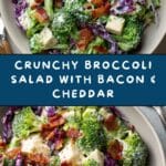 Broccoli Salad Recipe