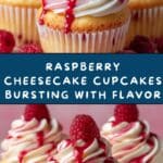 Raspberry Cheesecake Cupcakes Recipe