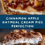 Cinnamon Apple Oatmeal Cream Pies Recipe
