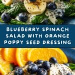 Blueberry Spinach Salad with Orange Poppy Seed Dressing Recipe