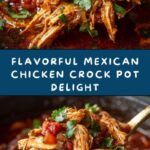 Mexican Chicken Crock Pot Recipe