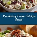 Cranberry Pecan Chicken Salad Recipe