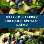 Blueberry Broccoli Spinach Salad Recipe