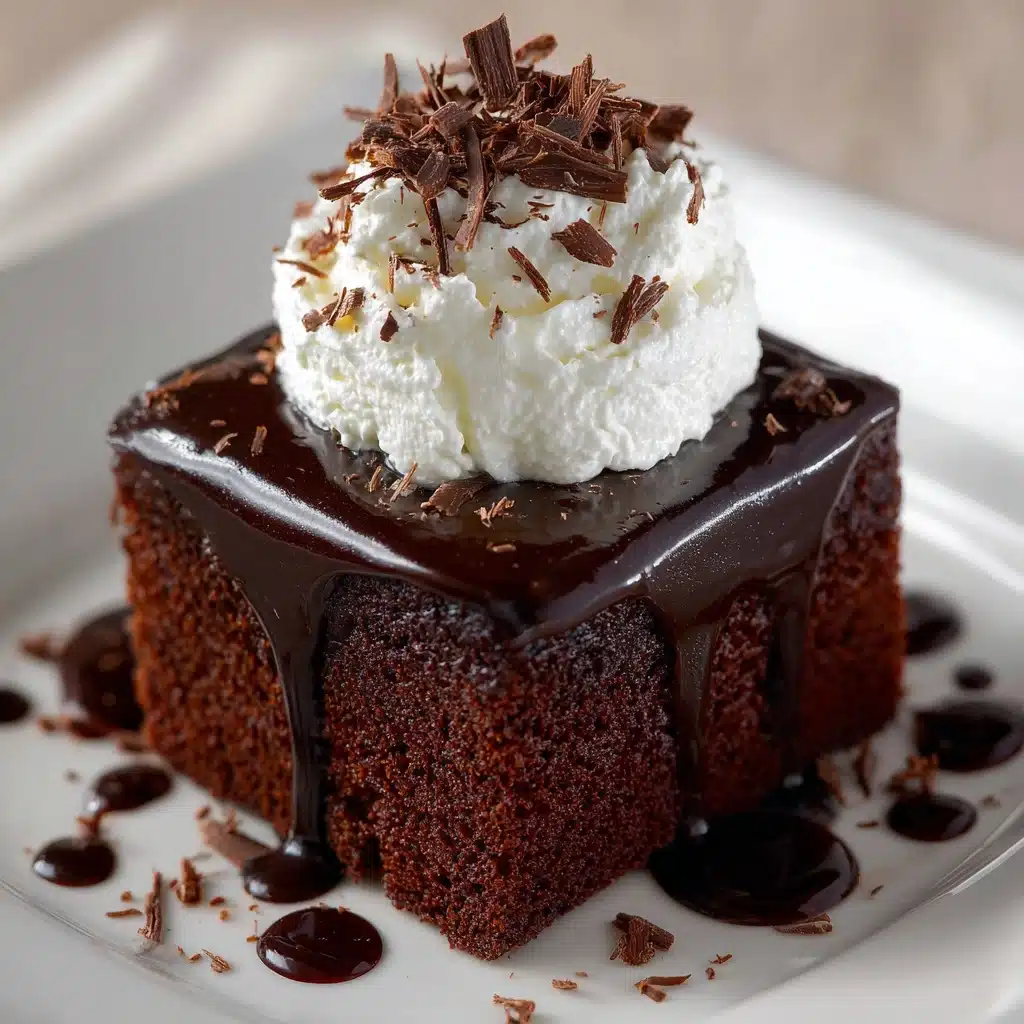 Hot Fudge Chocolate Pudding Cake Recipe - Recipe Image