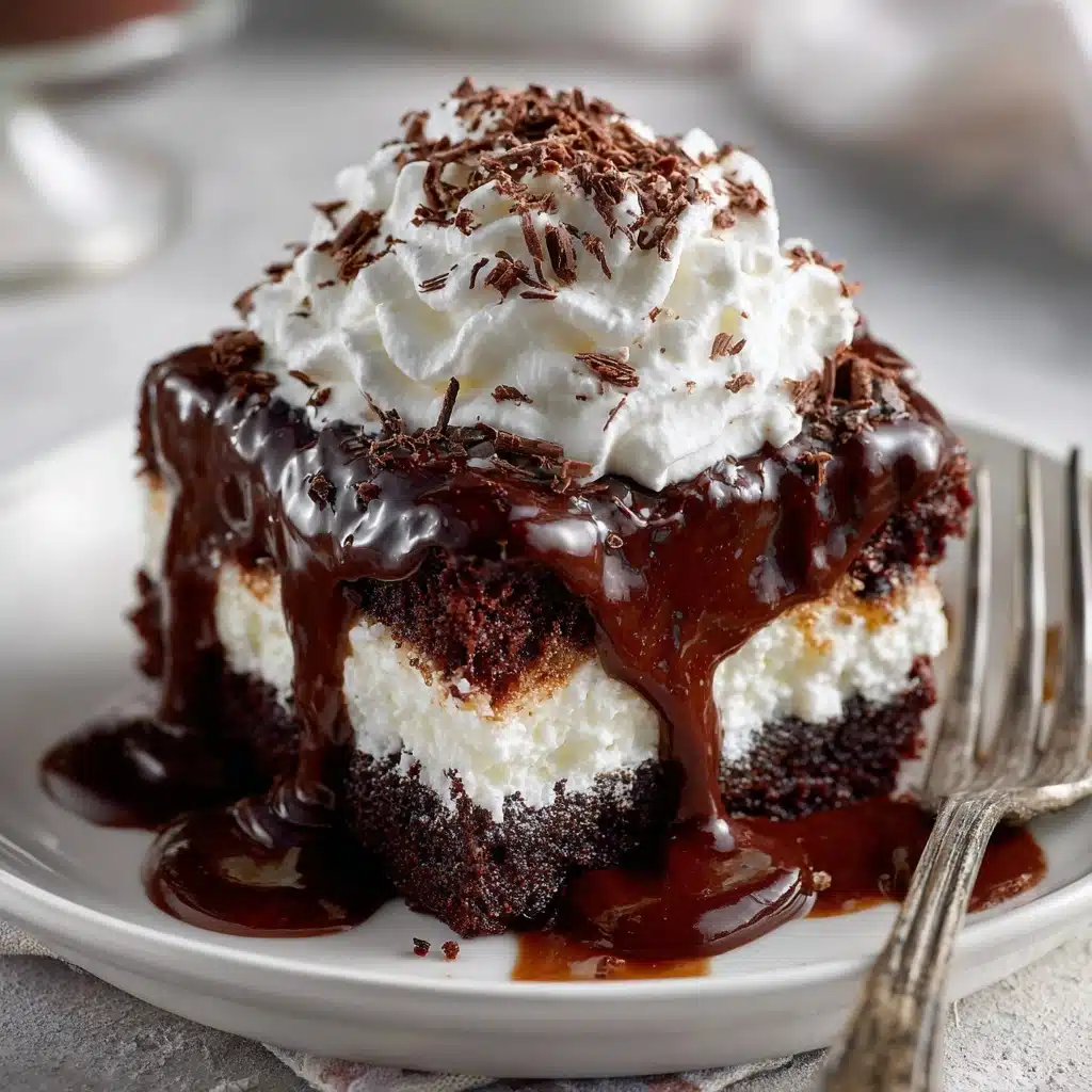 Hot Fudge Chocolate Pudding Cake Recipe - Recipe Image