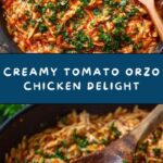 Creamy Tomato Orzo with Chicken Recipe