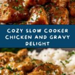 Slow Cooker Chicken and Gravy Recipe