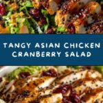 Asian Chicken Cranberry Salad Recipe