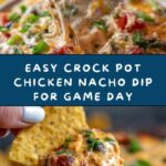 Crock Pot Chicken Nacho Dip Recipe