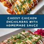 Chicken Enchiladas Recipe