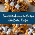 Avalanche Cookies (No Bake) Recipe