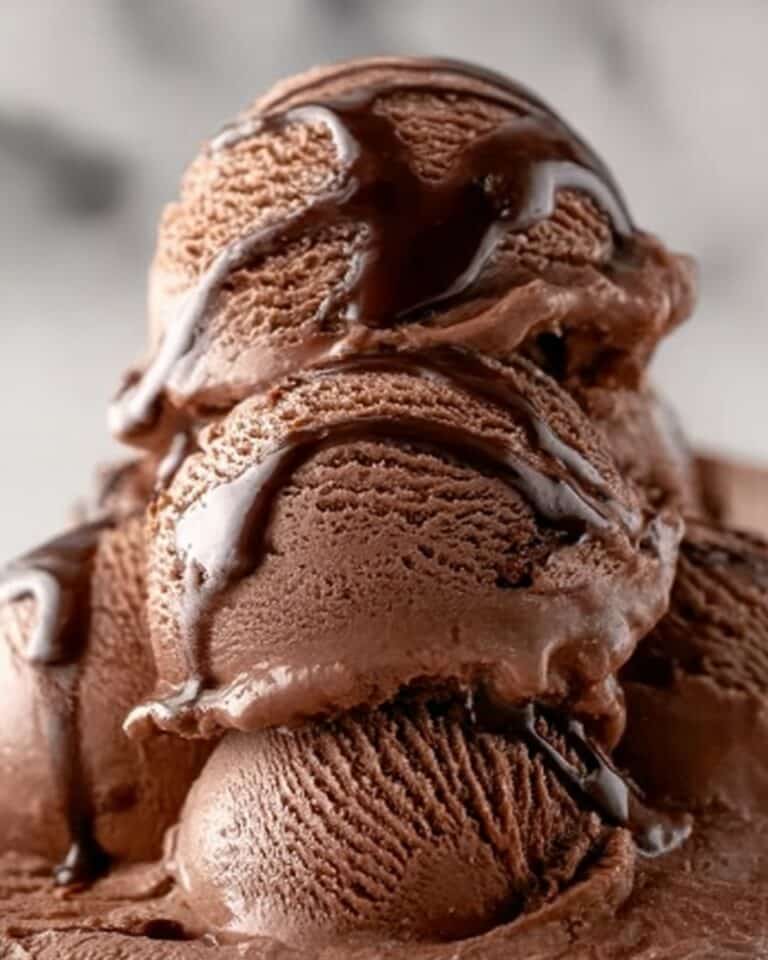 Homemade Chocolate Ice Cream Recipe