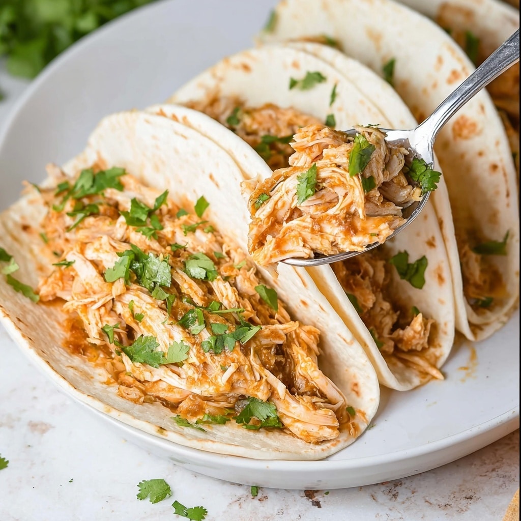 Crockpot Salsa Chicken Recipe - Recipe Image