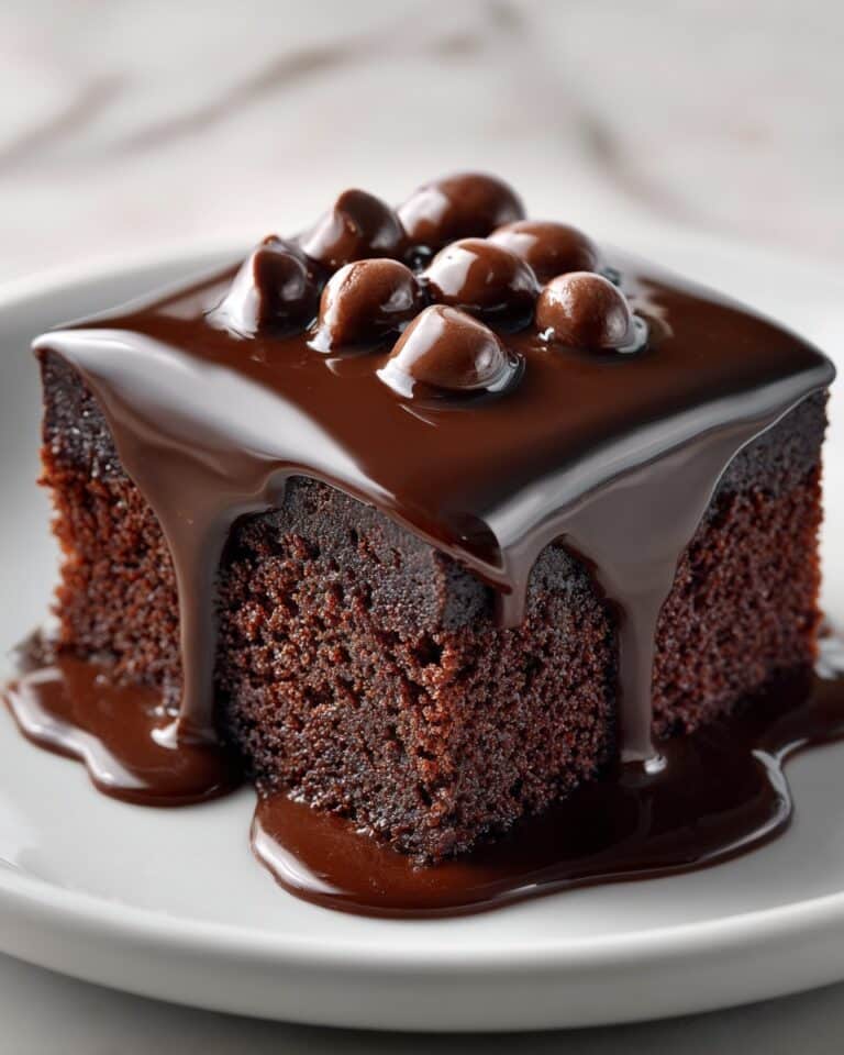 Hot Fudge Pudding Cake Recipe